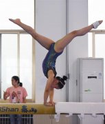 150个难新动作亮相体操男队冬训测验