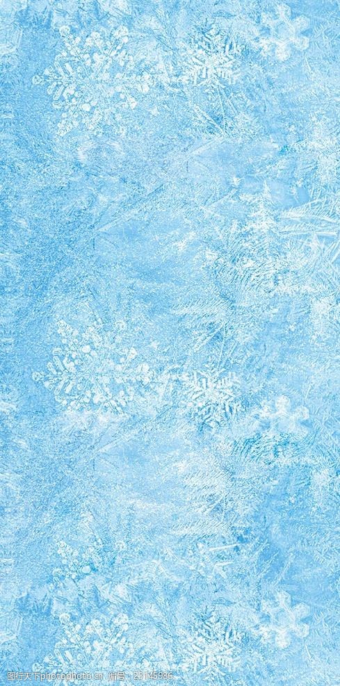 哈尔滨冰雪经济和创意设计产业招商推介会在深圳举行