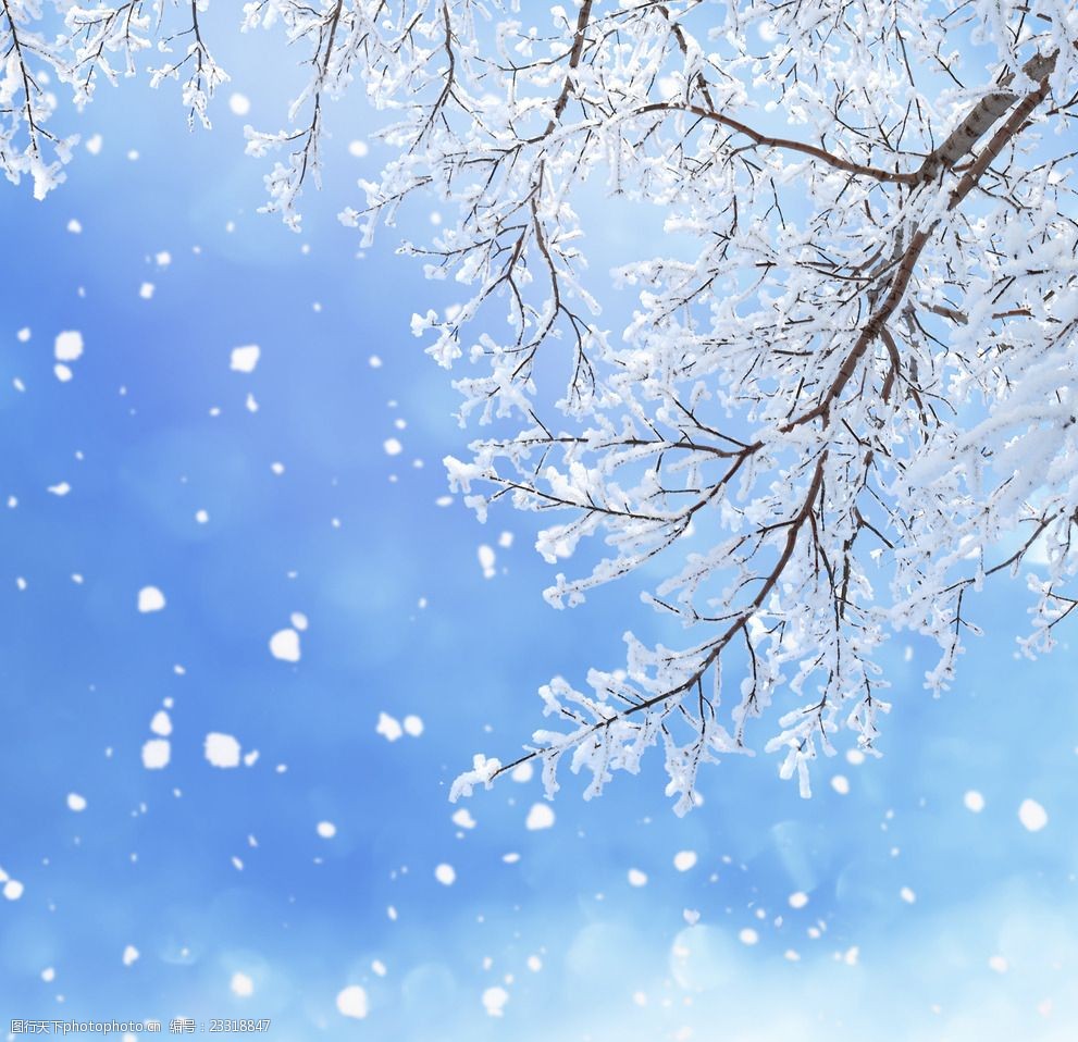 西安冰球少年燃爆假期！逐梦冰雪剑指2026冬运会！