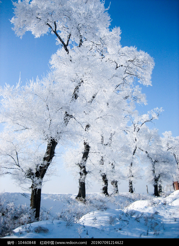 【小陇画报·384期】夏日祁连山 冰雪与草原的完美邂逅