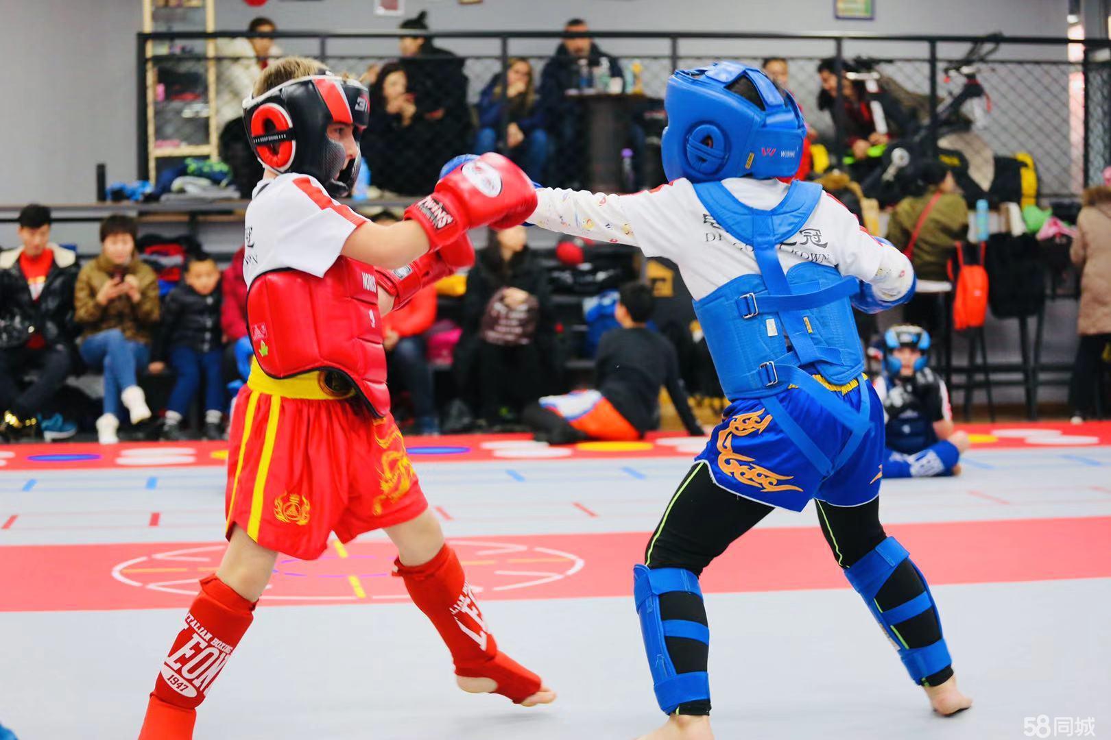 特朗普计划在白宫举办UFC格斗赛 庆祝美国建国250周年
